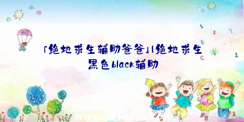 「绝地求生辅助爸爸」|绝地求生黑色black辅助